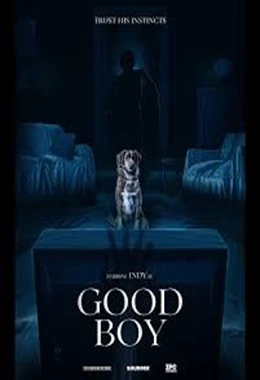 Good Boy